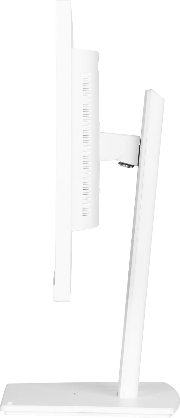 Фото - Монітор IIYAMA XUB2497HSN-W2