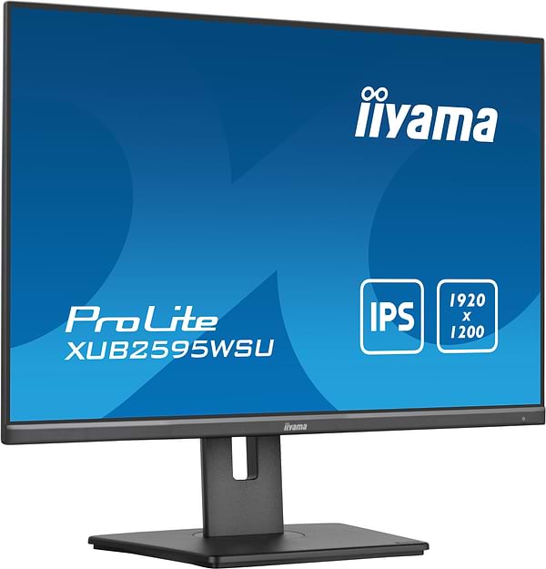 Фото - Монітор IIYAMA XUB2595WSU-B5