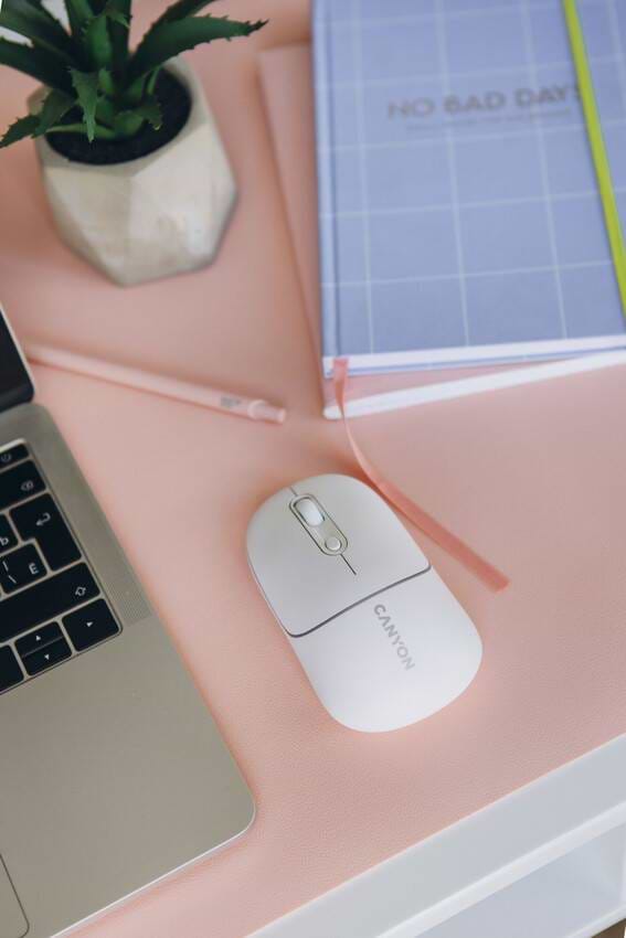 Фото - Миша бездротова Canyon MW-22 Dual Band RGB Wireless Snow White (CNS-CMSW22SW)