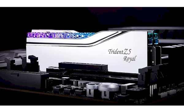 Фото - Память DDR G.Skill Trident Z5 Royal DDR5-7200 32GB (2x16GB) (F5-7200J3445G16GX2-TR5S)