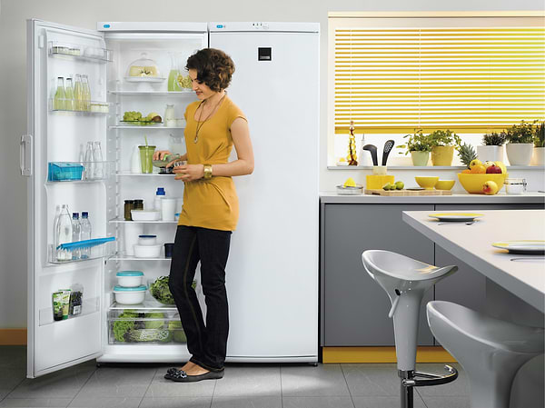 Фото - Морозильная камера Zanussi ZFU25200WA