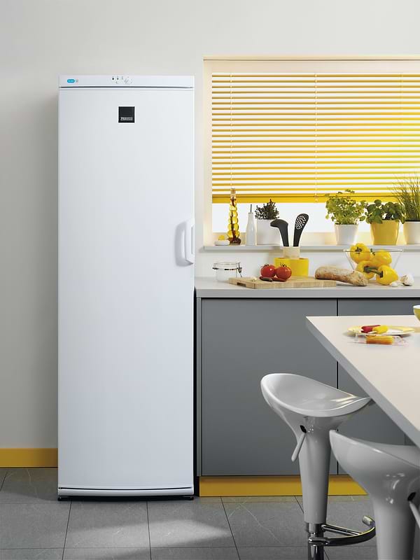 Фото - Морозильная камера Zanussi ZFU25200WA