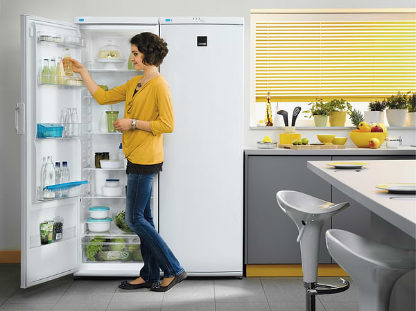 Фото - Морозильная камера Zanussi ZFU25200WA