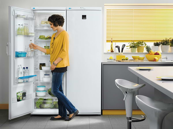 Фото - Морозильная камера Zanussi ZFU25200WA