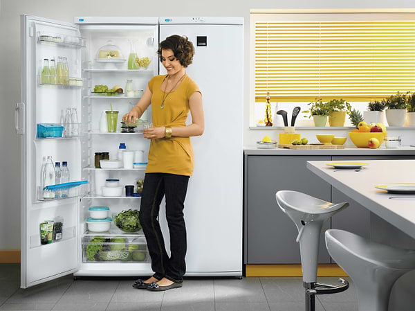 Фото - Морозильная камера Zanussi ZFU25200WA