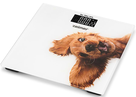 Фото - Весы напольные Zelmer ZBS1010 Crazy dog