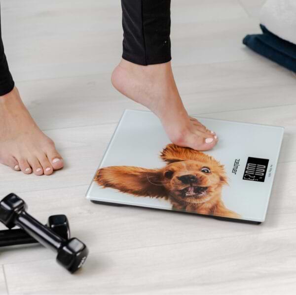 Фото - Весы напольные Zelmer ZBS1010 Crazy dog
