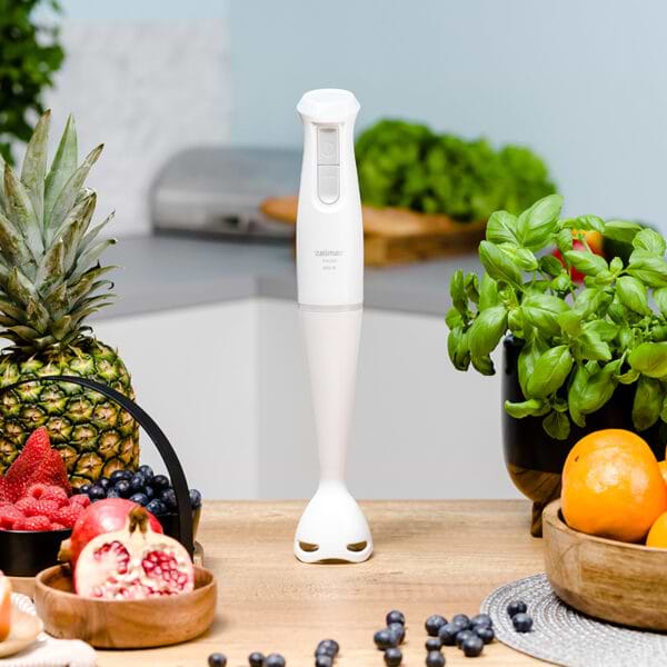 Фото - Блендер погружной Zelmer ZHB4560S